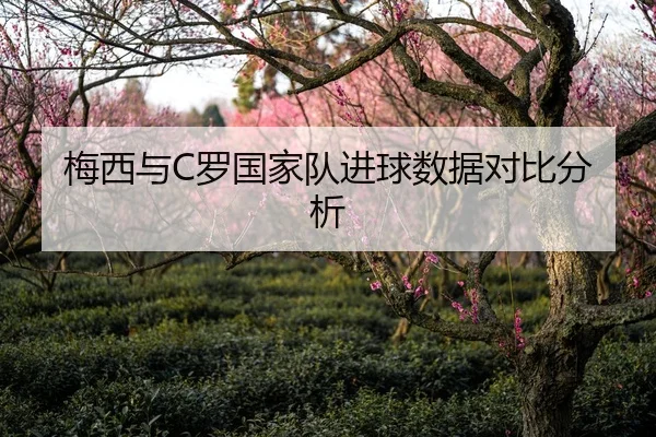 梅西与C罗国家队进球数据对比分析