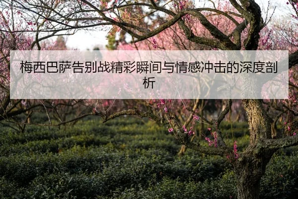 梅西巴萨告别战精彩瞬间与情感冲击的深度剖析